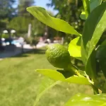 Διαμέρισμα Valeria